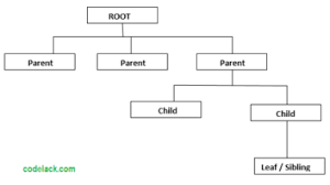 Hierarchy Database Management System