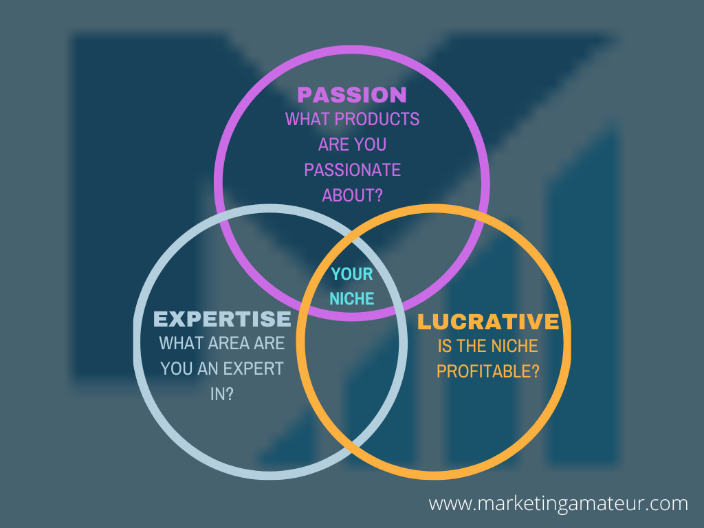 Product review blogger - venn diagram