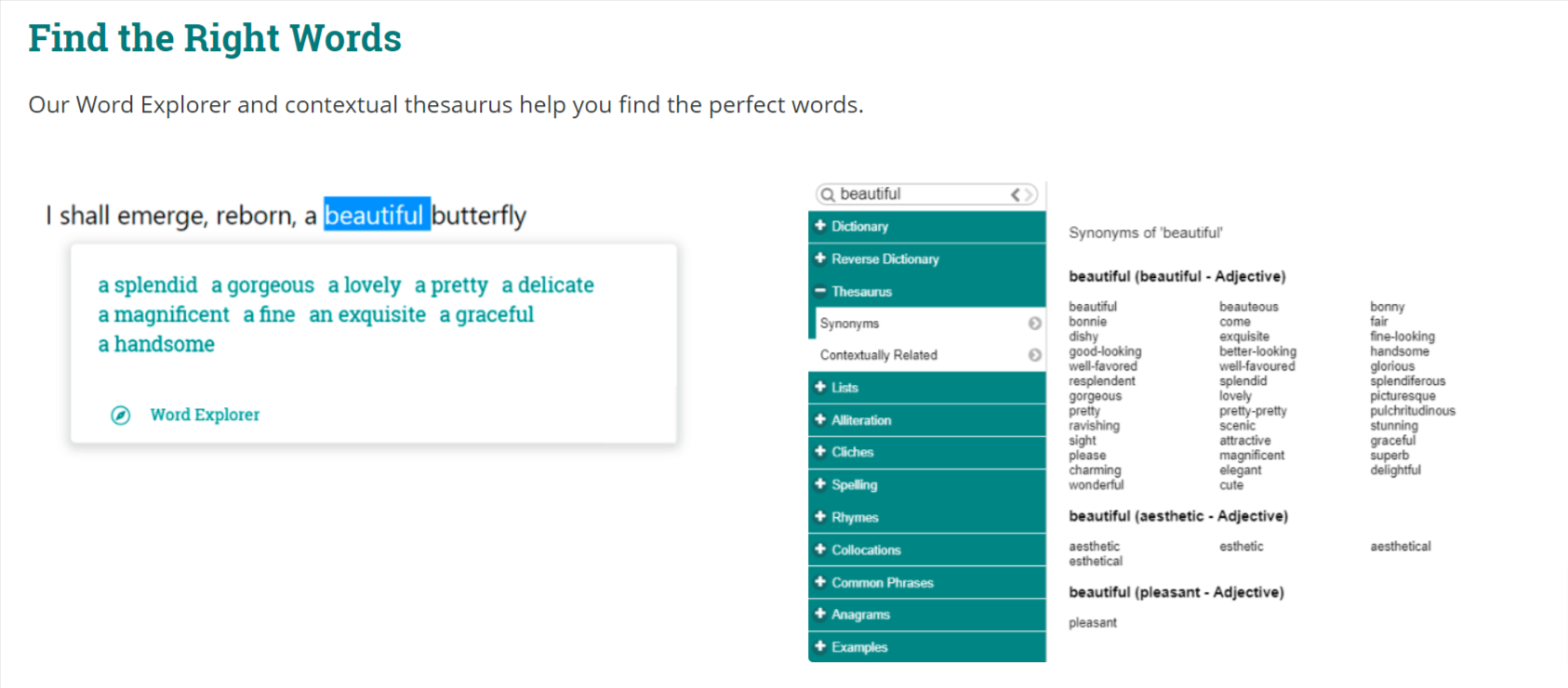 Pro Writing Aid's Thesaurus
